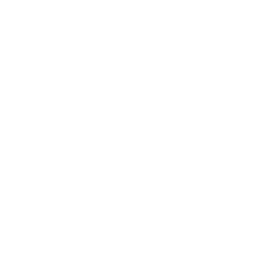 Customization and Development Customization and Development