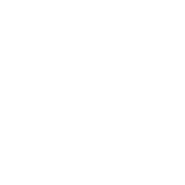 Security Audits and Reporting